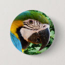 Suche nach papageien buttons Exotisch