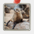 Suche nach siegel ornamente Tierwelt