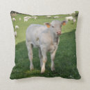 Suche nach kalb kissen Bauernhof