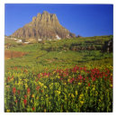 Suche nach pass fliesen Montana
