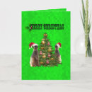 Suche nach mekka karten Meerkat