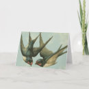 Suche nach schwalbe karten Vögel