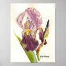 Suche nach lila iris poster Aquarell