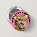 Suche nach überrascht buttons Katze