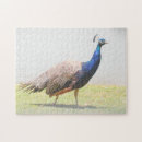 Suche nach beautiful puzzle Vogelvogel