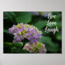 Suche nach rosa hydrangea poster Blume