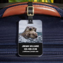 Suche nach seeotter accessoires Wild lebende tiere
