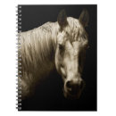 Suche nach weiße pferde kleine notizbücher Fotografie