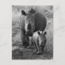 Suche nach mutter afrika poster Fotografie