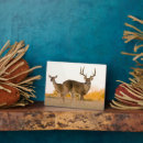 Suche nach geweihe haustier fotoplatten Larry ditto