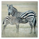 Suche nach afrikanische tiere fliesen Säugetier