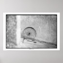 Suche nach dharma poster Rad