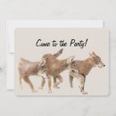 Suche nach reitsport postkarten Spaß