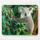 Suche nach niedlicher koala mousepads Australisch