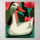 Suche nach weiße ente poster Natur