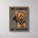 Suche nach yorkshire terrier leinwandbilder Yorkie