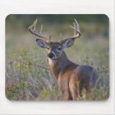 Suche nach bock mousepads Wildtiere