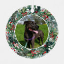 Suche nach doge ornamente Urlaub