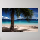 Suche nach thailand strand poster Palmen