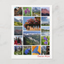 Suche nach schweiz postkarten Alpen
