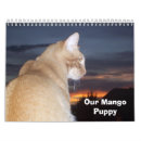 Suche nach welpen kalender Kätzchen