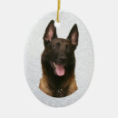 Suche nach malinois ornamente Verzierung