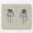 Suche nach knochen mousepads Anatomie