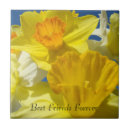 Suche nach beste freundin fliesen Beste freunde für immer