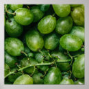 Suche nach grüne trauben poster Stillleben