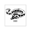 Suche nach schlange bastel zubehör Reptil