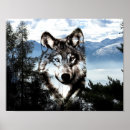 Suche nach timberwolf poster Schnee