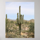 Suche nach wüstenkaktus poster Arizona