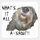 Suche nach hunde des schnauzer aufkleber Tier