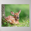 Suche nach legs poster Natur