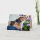 Suche nach waliser karten Hund