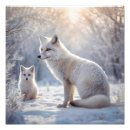 Suche nach weißer fuchs poster Generativitätsinhalt