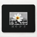Suche nach hoffnungsvoll Blume