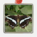 Suche nach schwarzer schmetterling ornamente Lepidoptera