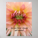 Suche nach klammer poster Natur