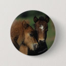 Suche nach miniatur buttons Reiter