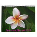 Suche nach plumeria kalender Hibiskus