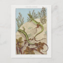 Suche nach eidechse postkarten Vintag