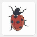 Suche nach käfer aufkleber Für sie