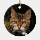 Suche nach gestreifte katze ornamente Katzen