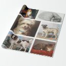 Suche nach begleiten geschenkpapier Katze