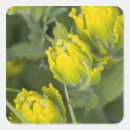 Suche nach indian aufkleber Gelb