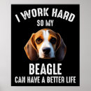 Suche nach beagles poster Welpe