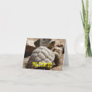 Suche nach niedliche schildkröten einladungen Reptil