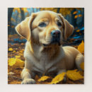 Suche nach labrador retriever welpe puzzle Welpen