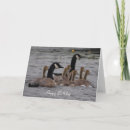 Suche nach kanadische karten Vogel